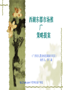 南宁市西湖东郡市场推广策略提案--luoguangsen