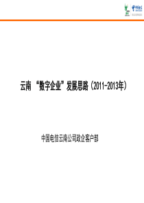 云南“数字企业”培训材料