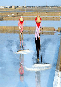 §4-2_富集在海水中的元素.ppt1