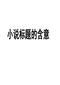 2014小说标题的含义、意蕴和作用