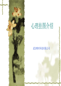 心理挂图简介