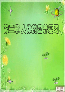 第二章人体的营养复习课件