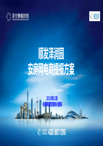 分站电商方案模版