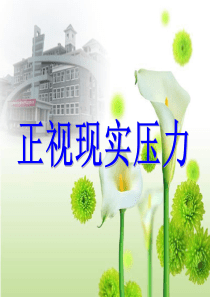 第五课第一站正视现实的压力课件