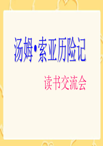 《汤姆索亚历险记》读书交流会