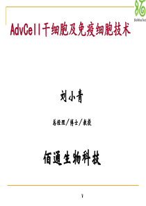 AdvCell 干细胞及免疫细胞技术