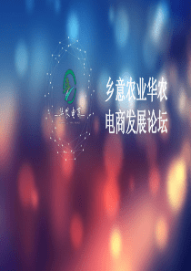华农电商发展论坛