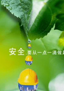 6安全培训