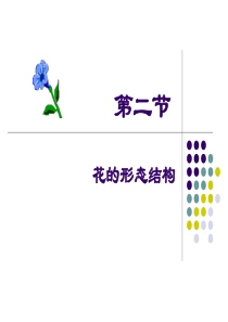 花的形态结构植物学