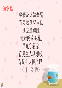 重要_《白鹅》PPT课件