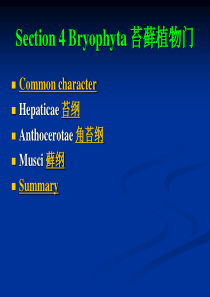 chapter  4 Bryophyta 苔藓植物门