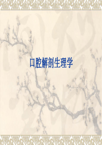 牙体解剖