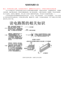 电鱼机制作与电路大全详解