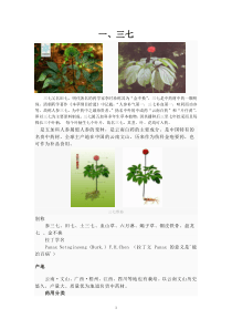 花卉百科：三七、百合科普介绍和栽培技术