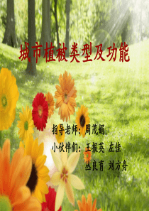 城市植被类型及功能