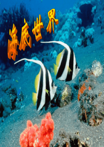 22海底世界ppt课件