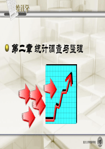 第2章 统计调查与整理(统计)