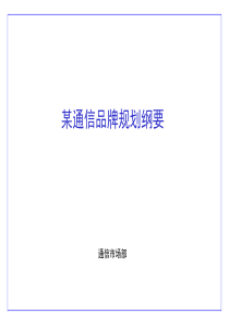 某通信品牌规划纲要