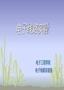 模拟电子技术实验(模电实验)