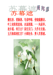 周邦彦苏幕遮用
