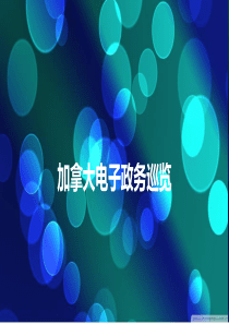 加拿大电子政务ppt