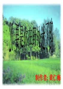 20要是你在野外迷了路(上课用)