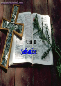 综合英语 unit 11 salvation