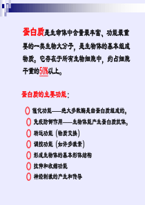 第十五章 氨基酸、多肽与蛋白质