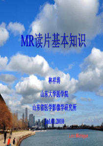 MR读片基本知识10.7.12