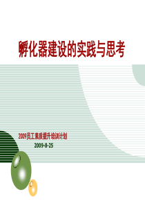 孵化器建设的实践与思考2009员工素质提升培训计划