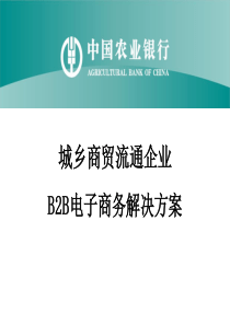 城乡商贸流通企业b2b电子商务解决方案v11