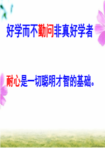 北师大版有理数混合运算