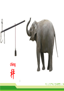 4 曹冲称象(2)(修改)