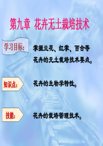 无 土 栽 培9