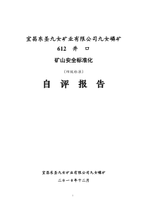 东圣九女矿业安全标准化自评报告