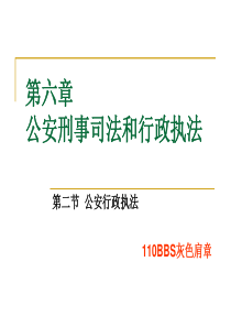 第六章公安刑事司法和行政执法幻灯片讲解