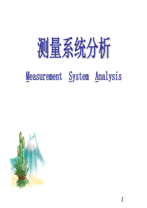 MSA教材最新版