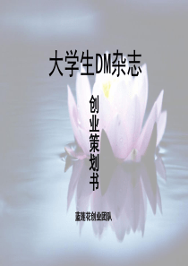 大学生DM杂志创业策划