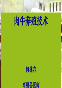 肉牛饲养管理技术(缩)