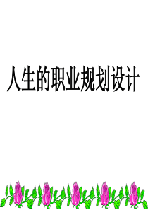 人生的职业规划设计.