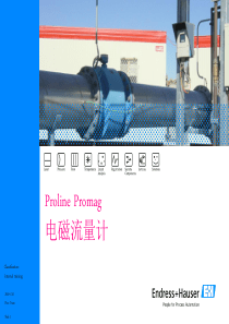 E+H电磁流量计_Basic