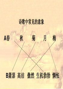 【精品】《说木叶》优秀课件