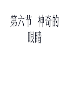 【精品课件】4.6神奇的眼睛(1)