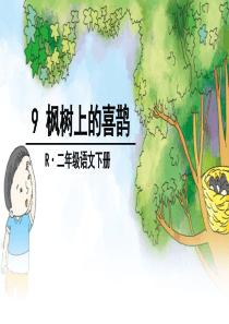 公开课9-枫树上的喜鹊