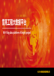 公安雪亮工程大数据平台介绍