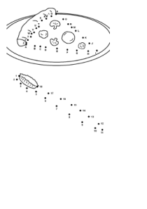 数字连线-100张
