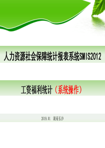 人力资源社会保障统计报表系统SMIS2012(工资福利报表)