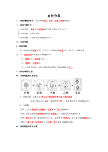 有丝分裂和减数分裂知识点