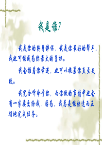 习惯的力量