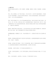 小鼠生殖系统解剖